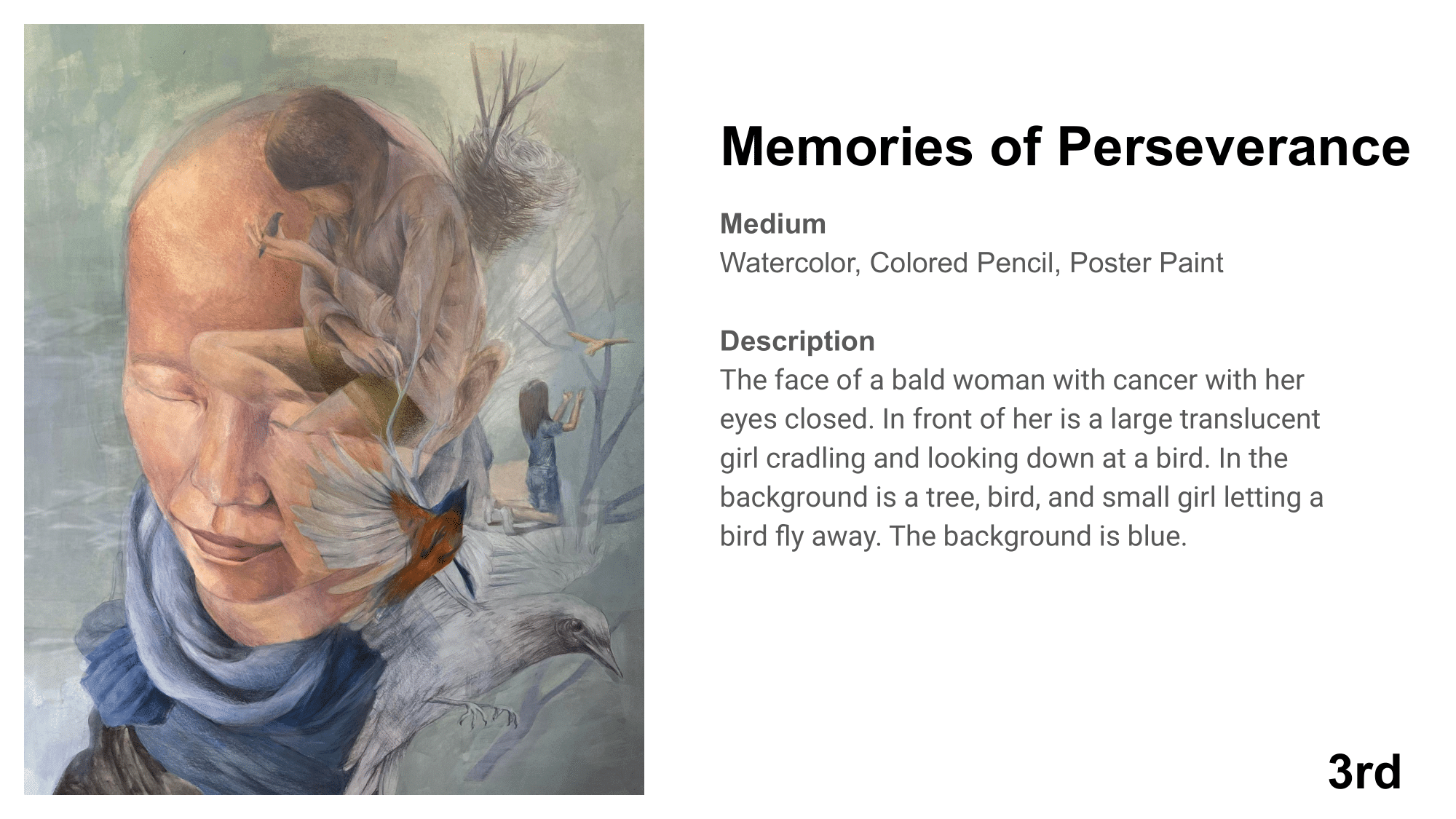 Memories of Perseverance